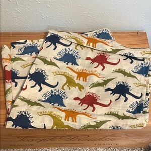 Baby Swaddle Blanket - Dinosaur Print